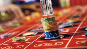 spinogambino Live Casino
